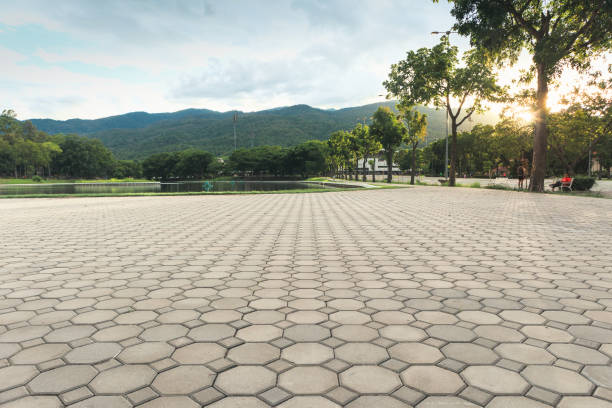 Best Permeable Paver Driveway  in Dodge Center, MN